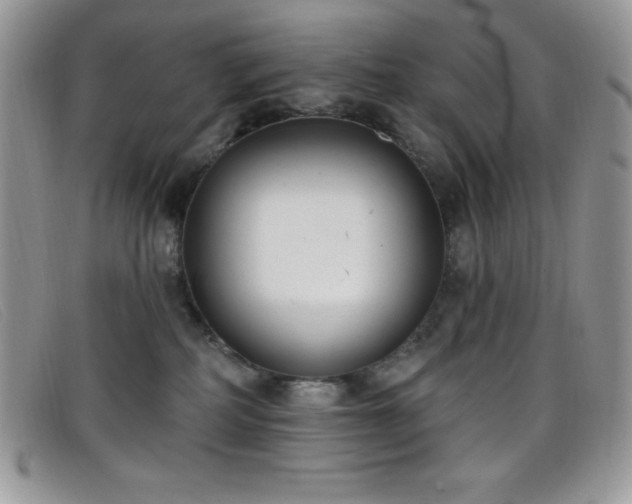 X0000099320234200805021320