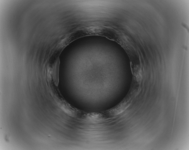 X0000099320235200805021320