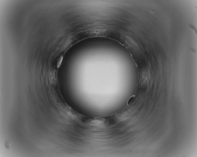 X0000099320236200805021320