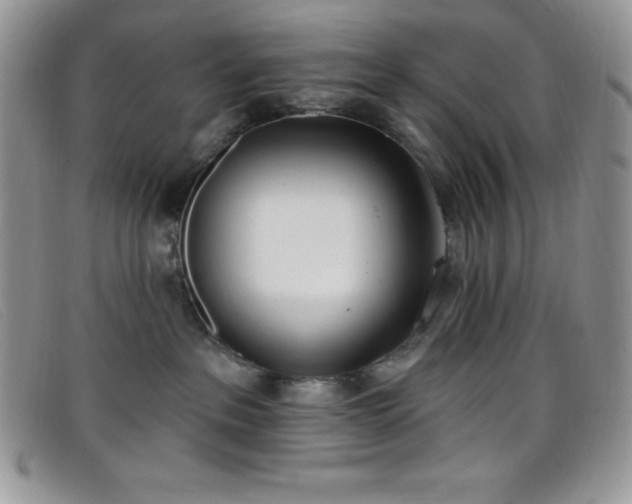 X0000099320237200805021320