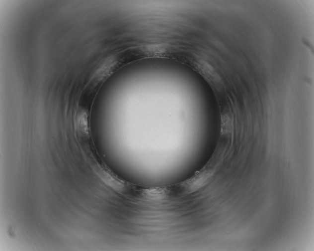 X0000099320238200805021320