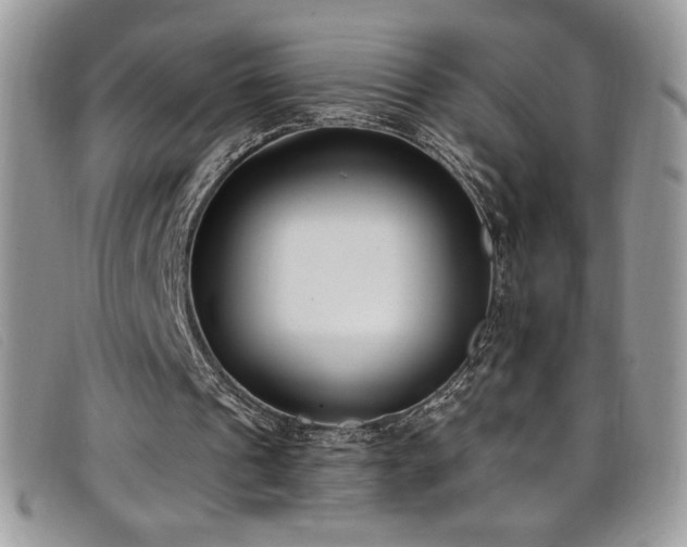 X0000099320241200805021319