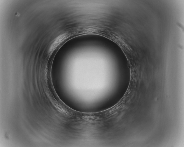 X0000099320242200805021319