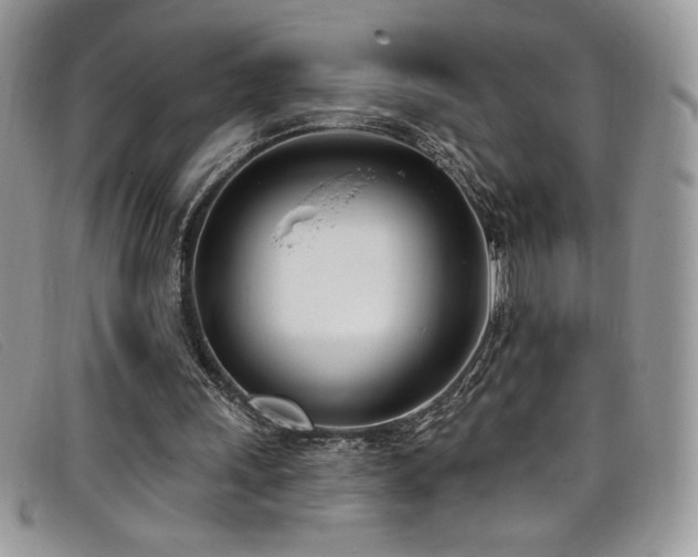 X0000099320243200805021319