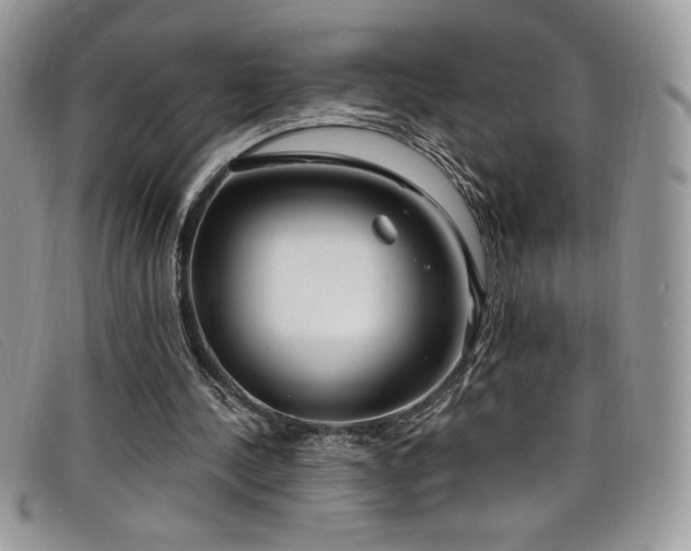 X0000099320244200805021319