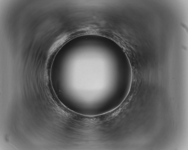 X0000099320245200805021319