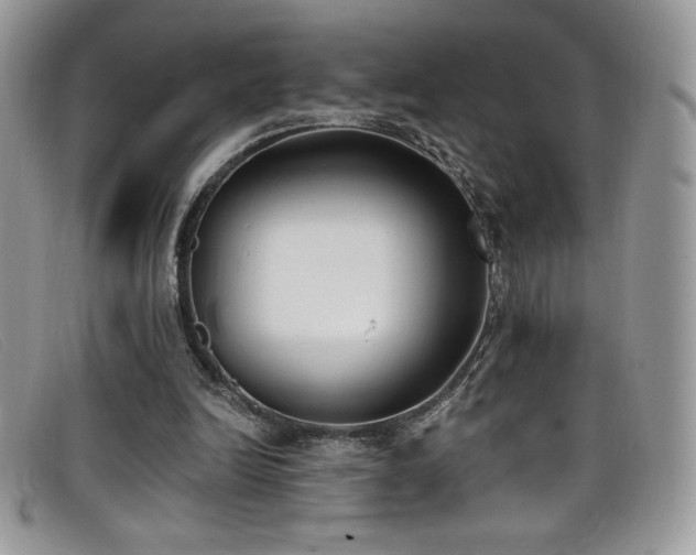 X0000099320246200805021319