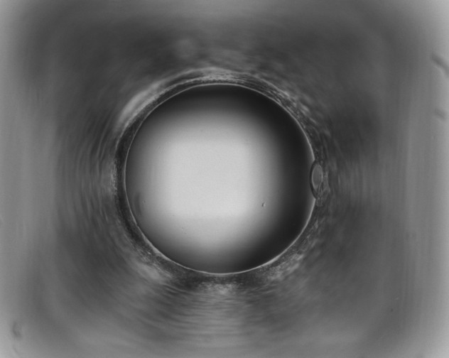 X0000099320247200805021319