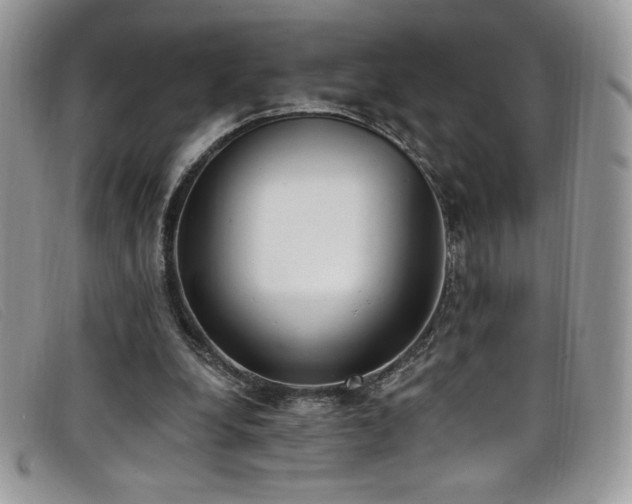 X0000099320248200805021319