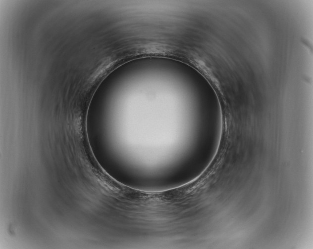 X0000099320249200805021319