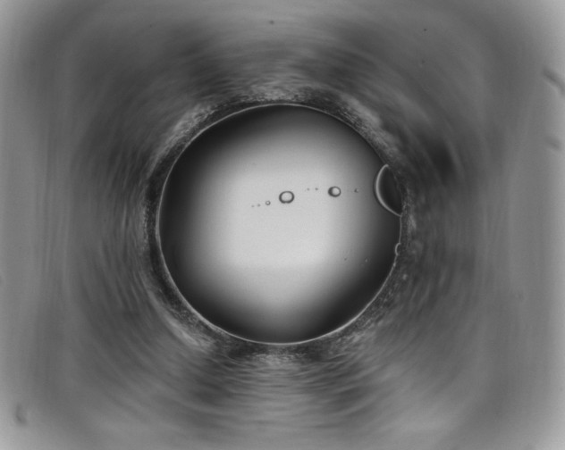 X0000099320250200805021319