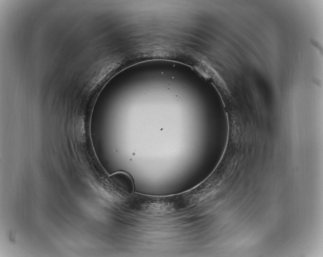 X0000099320251200805021319