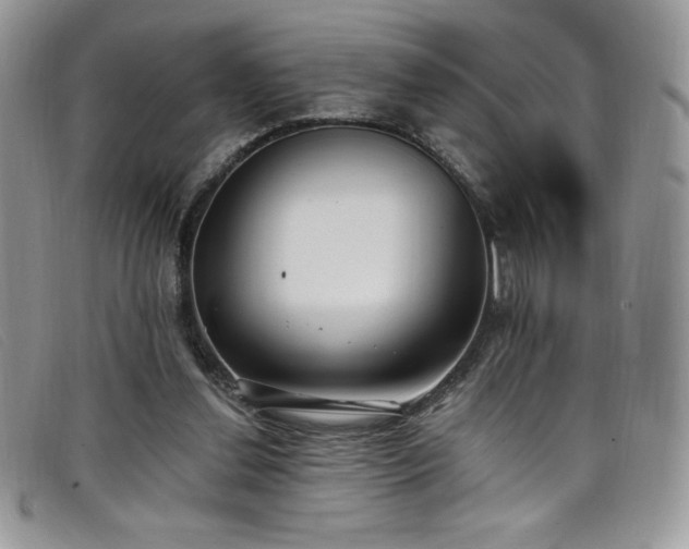 X0000099320252200805021319