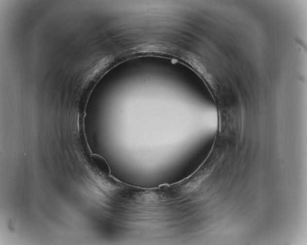 X0000099320253200805021319