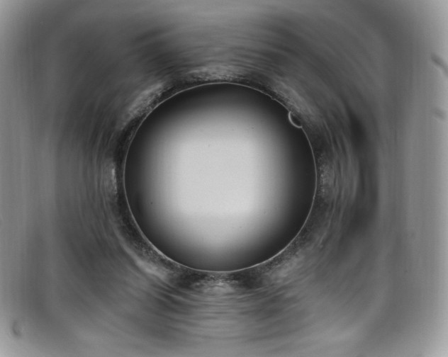 X0000099320254200805021319