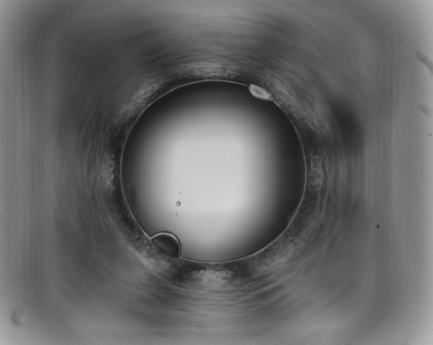 X0000099320255200805021319