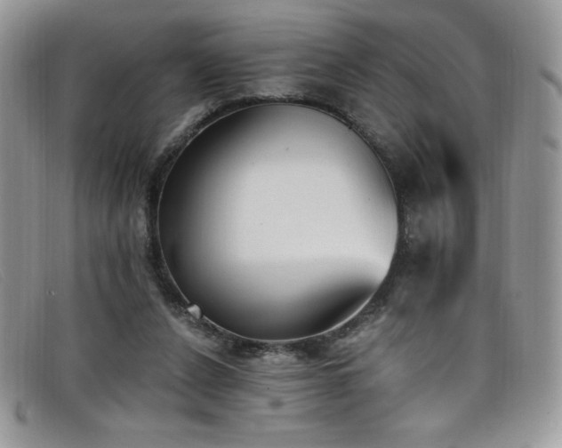 X0000099320256200805021319