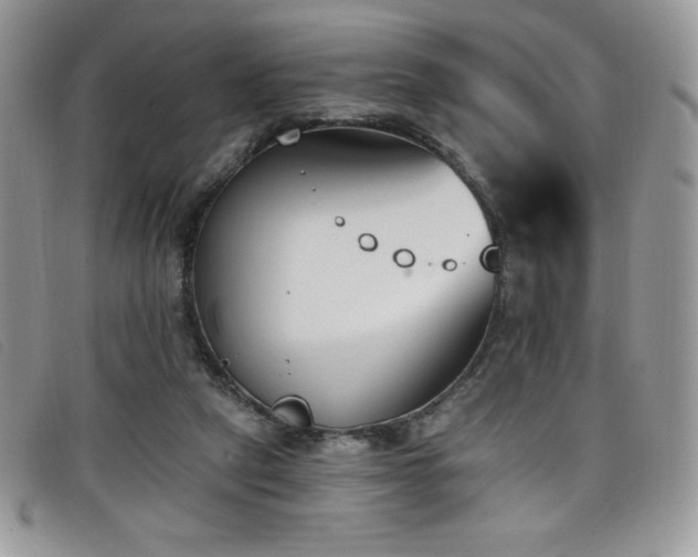 X0000099320257200805021319