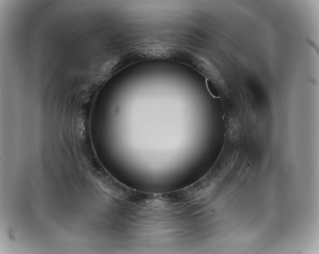 X0000099320259200805021319