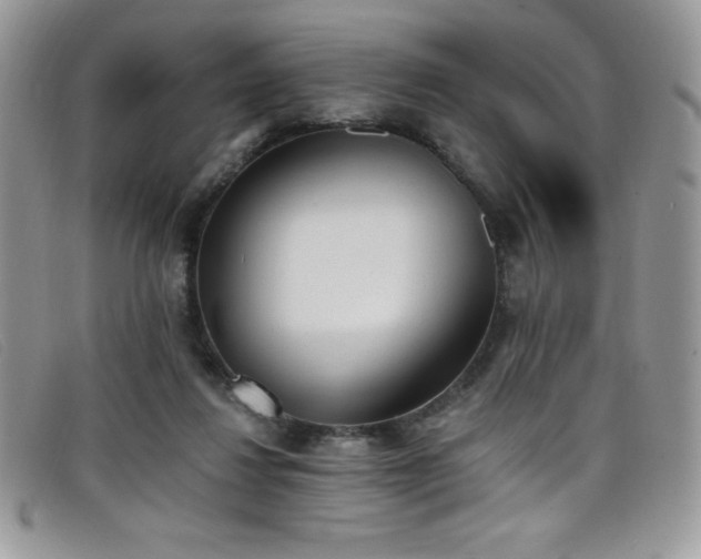 X0000099320260200805021319