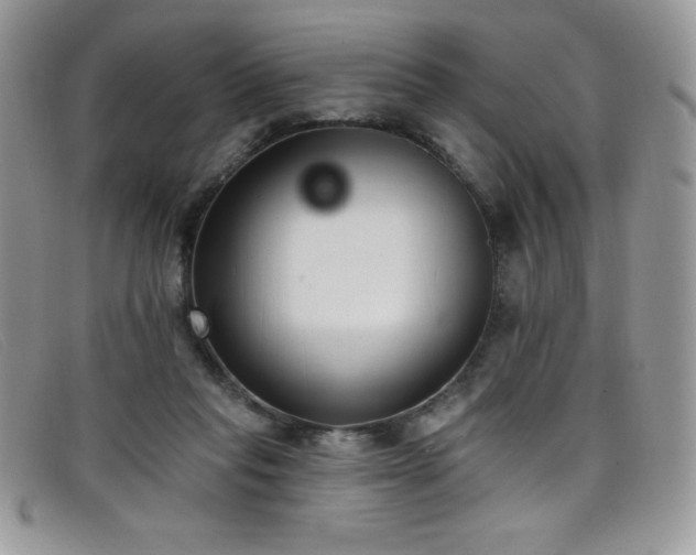 X0000099320261200805021319