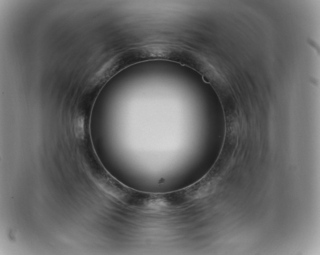 X0000099320262200805021319