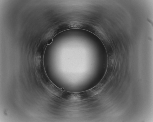 X0000099320263200805021319