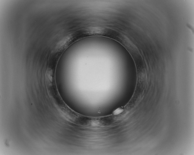 X0000099320264200805021319