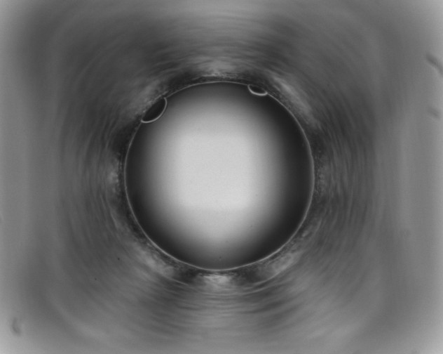 X0000099320265200805021319