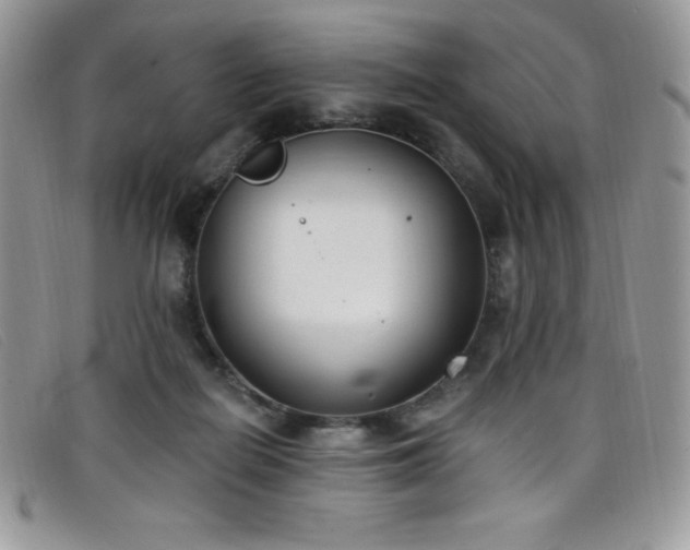 X0000099320266200805021319