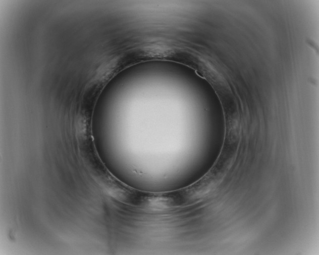 X0000099320268200805021320