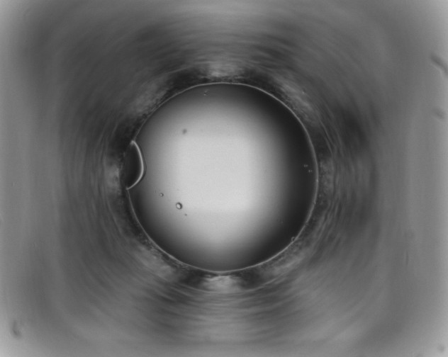 X0000099320269200805021320