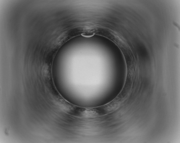 X0000099320270200805021320