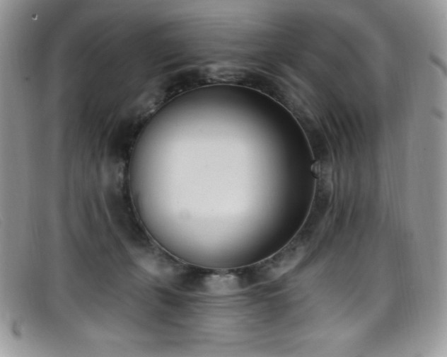 X0000099320271200805021320