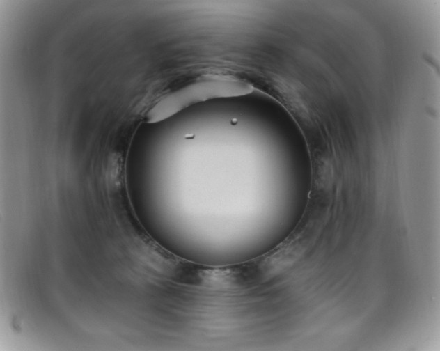 X0000099320273200805021320