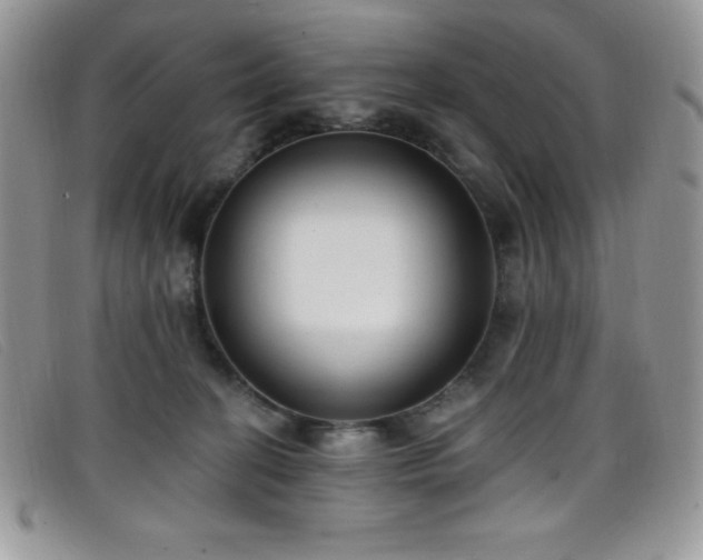 X0000099320274200805021320