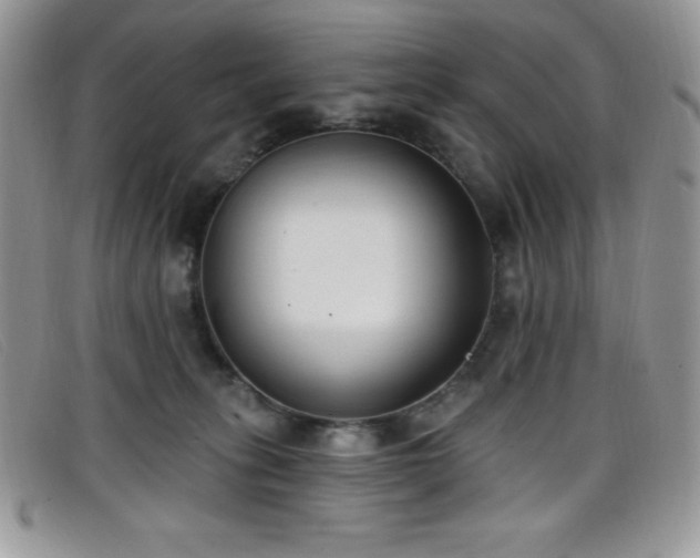 X0000099320275200805021320