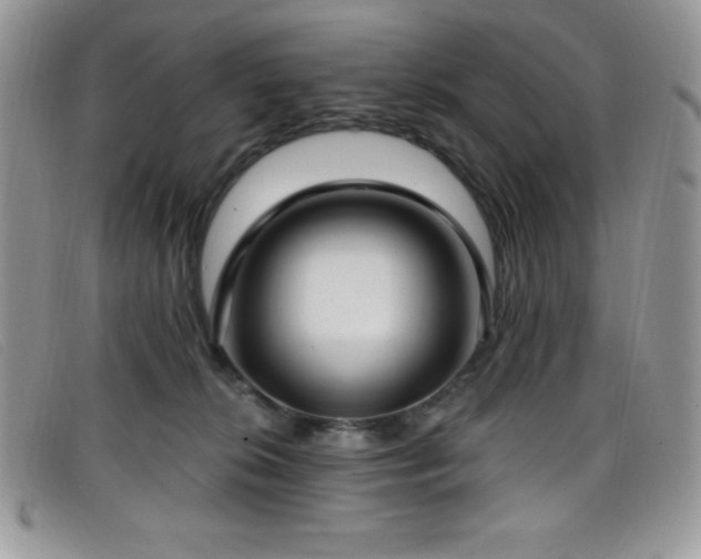 X0000099320276200805021320