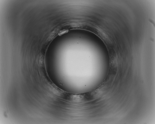 X0000099320277200805021320