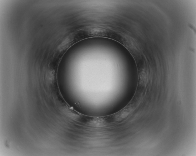 X0000099320278200805021320