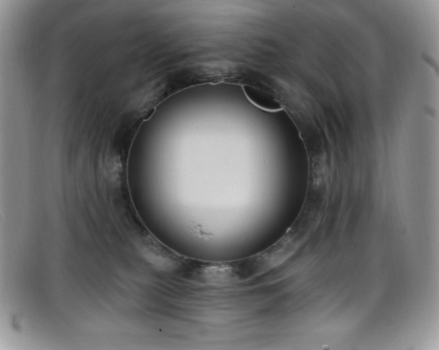 X0000099320279200805021320