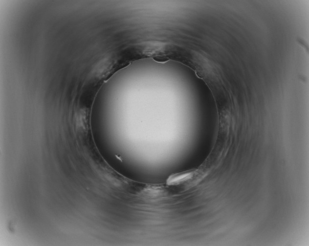 X0000099320280200805021320