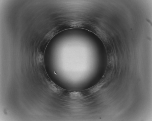 X0000099320281200805021320