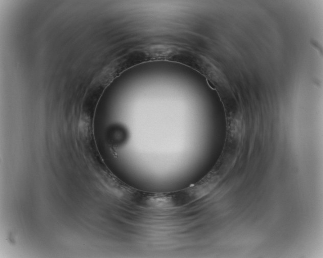 X0000099320283200805021320