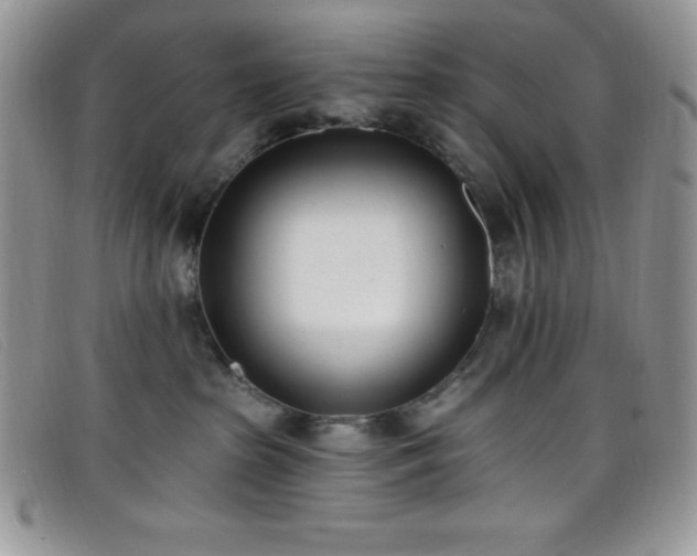 X0000099320285200805021320