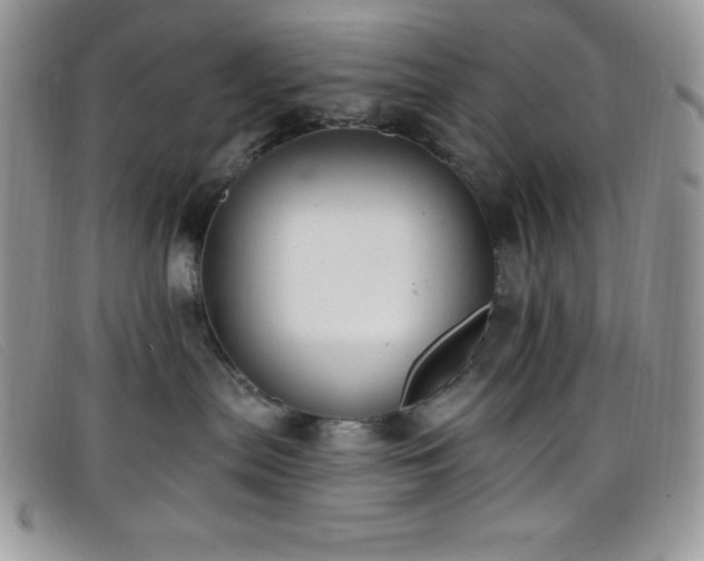 X0000099320287200805021320