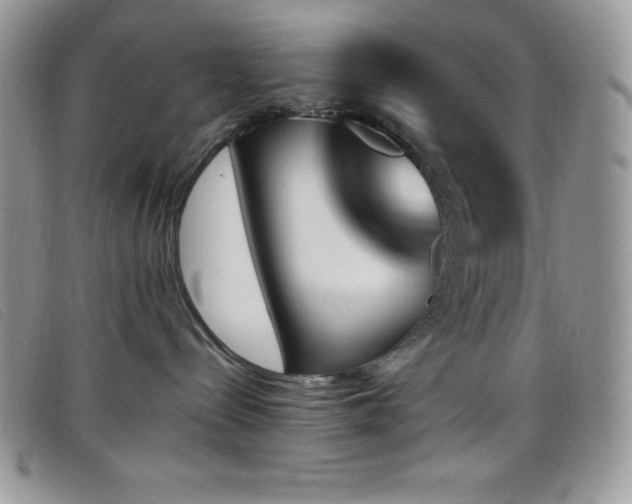 X0000099320288200805021320