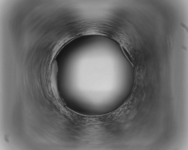 X0000099320289200805021319