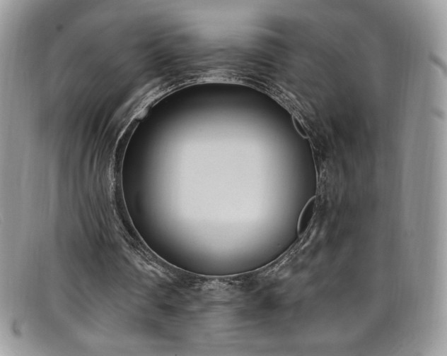 X0000099320290200805021319