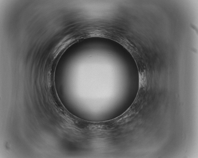 X0000099320291200805021319